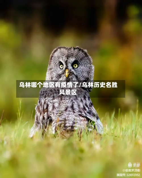 乌林哪个地区有疫情了/乌林历史名胜风景区