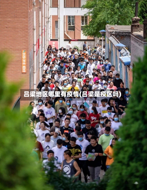 吕梁地区哪里有疫情(吕梁是疫区吗)-第2张图片