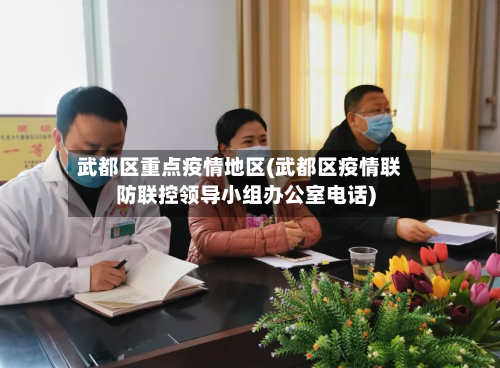 武都区重点疫情地区(武都区疫情联防联控领导小组办公室电话)-第2张图片