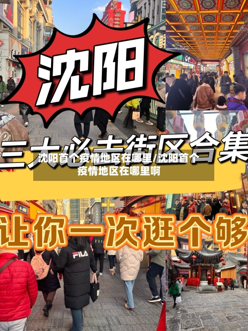 沈阳首个疫情地区在哪里/沈阳首个疫情地区在哪里啊-第3张图片