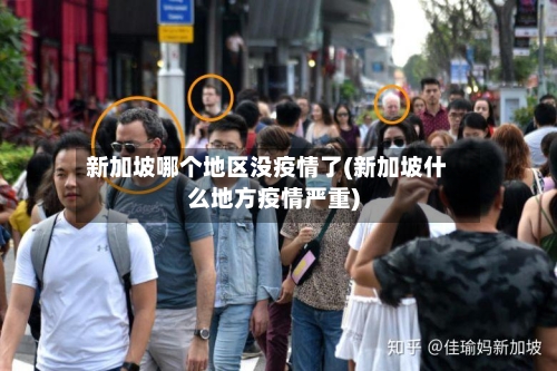 新加坡哪个地区没疫情了(新加坡什么地方疫情严重)-第2张图片