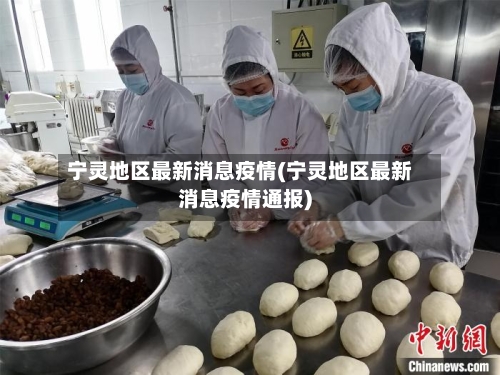 宁灵地区最新消息疫情(宁灵地区最新消息疫情通报)