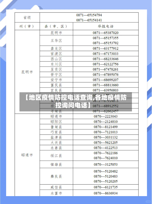 【地区疫情防控电话查询,各地疫情防控询问电话】