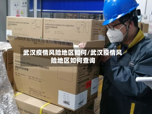 武汉疫情风险地区如何/武汉疫情风险地区如何查询