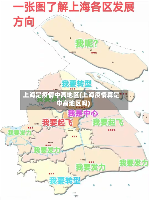 上海是疫情中高地区(上海疫情算是中高地区吗)-第2张图片