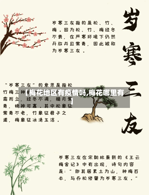 【梅花地区有疫情吗,梅花哪里有】