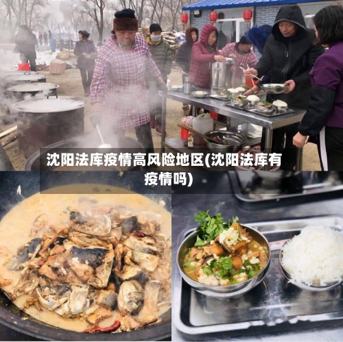沈阳法库疫情高风险地区(沈阳法库有疫情吗)-第3张图片