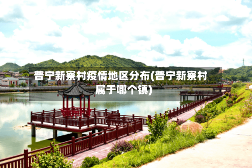 普宁新寮村疫情地区分布(普宁新寮村属于哪个镇)
