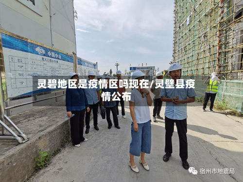 灵碧地区是疫情区吗现在/灵壁县疫情公布-第2张图片