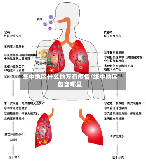 华中地区什么地方有疫情/华中地区包含哪里