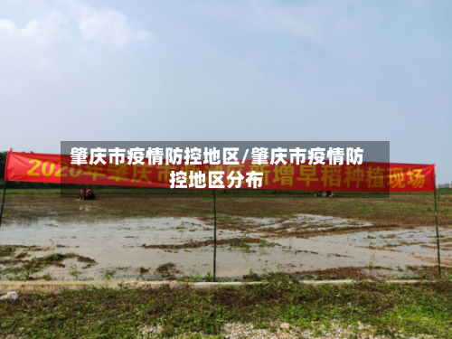 肇庆市疫情防控地区/肇庆市疫情防控地区分布-第3张图片