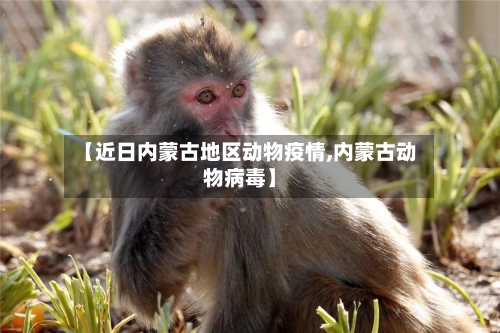 【近日内蒙古地区动物疫情,内蒙古动物病毒】