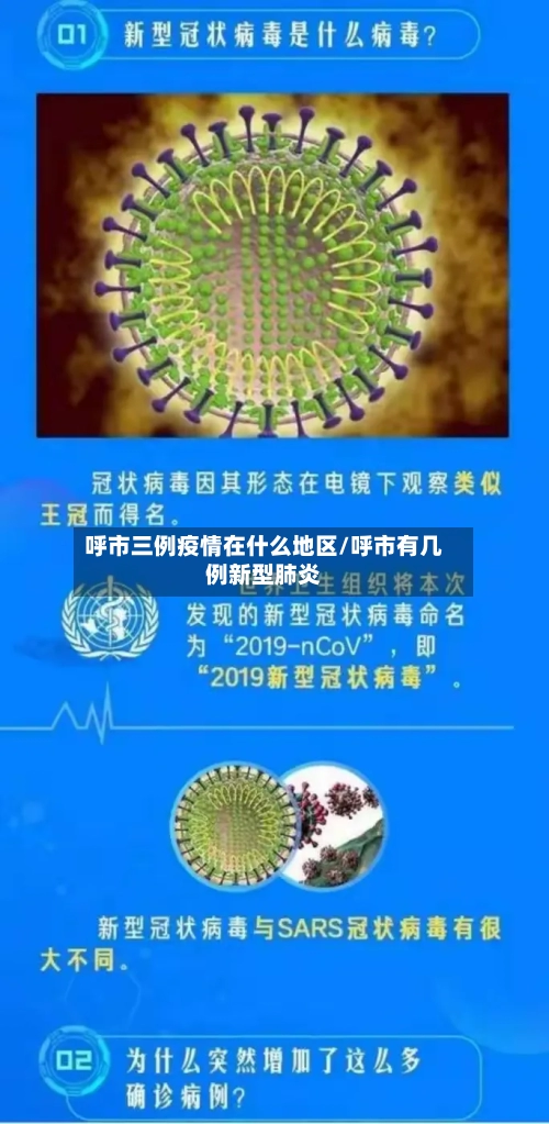 呼市三例疫情在什么地区/呼市有几例新型肺炎-第2张图片