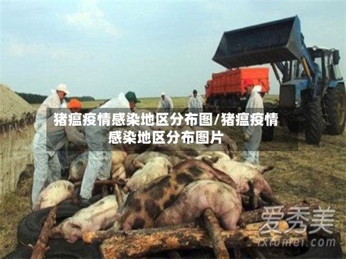 猪瘟疫情感染地区分布图/猪瘟疫情感染地区分布图片