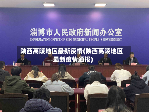 陕西高陵地区最新疫情(陕西高陵地区最新疫情通报)