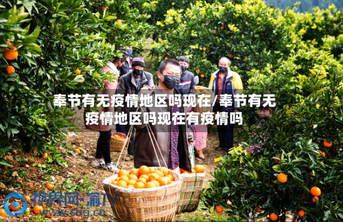 奉节有无疫情地区吗现在/奉节有无疫情地区吗现在有疫情吗-第2张图片