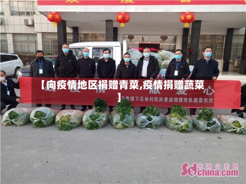 【向疫情地区捐赠青菜,疫情捐赠蔬菜】-第3张图片