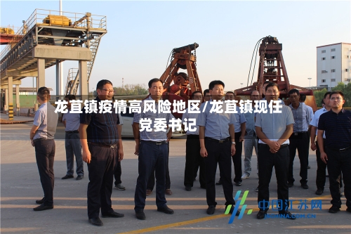 龙苴镇疫情高风险地区/龙苴镇现任党委书记-第3张图片