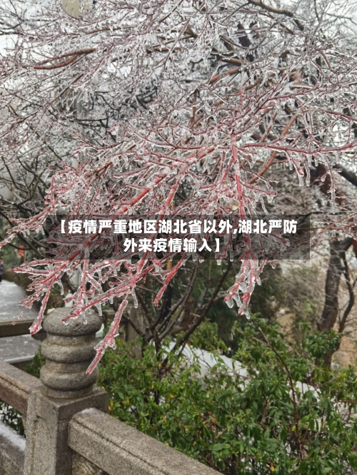 【疫情严重地区湖北省以外,湖北严防外来疫情输入】-第2张图片
