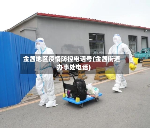 金盏地区疫情防控电话号(金盏街道办事处电话)