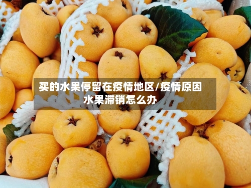 买的水果停留在疫情地区/疫情原因水果滞销怎么办-第2张图片