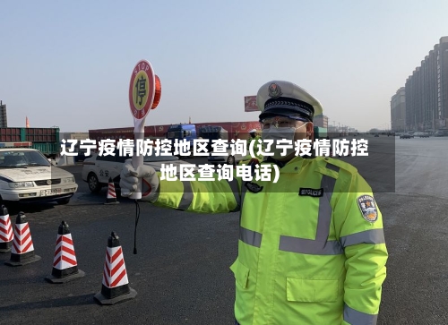 辽宁疫情防控地区查询(辽宁疫情防控地区查询电话)-第2张图片