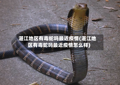 湛江地区有毒蛇吗最近疫情(湛江地区有毒蛇吗最近疫情怎么样)-第2张图片
