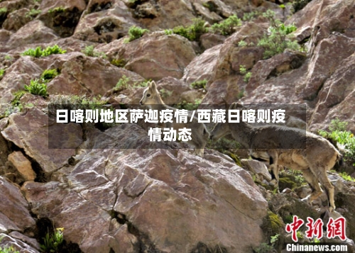 日喀则地区萨迦疫情/西藏日喀则疫情动态