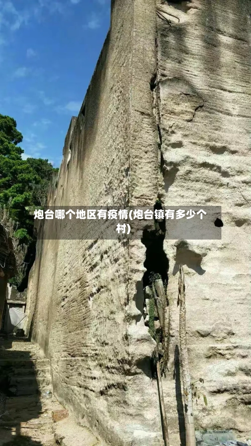 炮台哪个地区有疫情(炮台镇有多少个村)