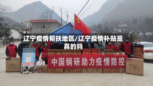 辽宁疫情帮扶地区/辽宁疫情补贴是真的吗-第2张图片