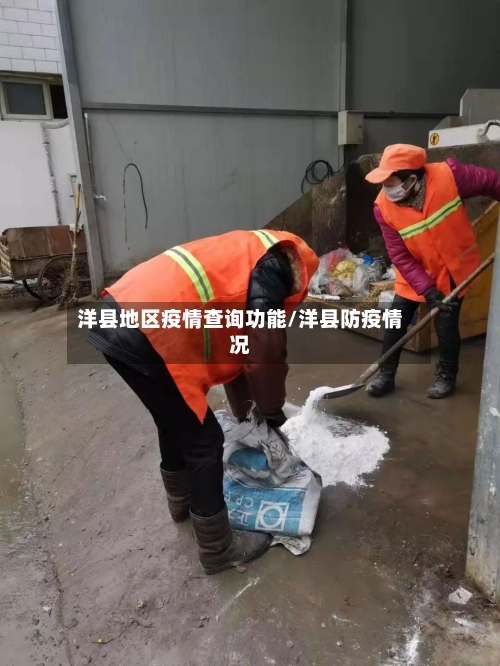 洋县地区疫情查询功能/洋县防疫情况